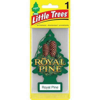Little Trees Car Air Freshener, Royal Pine